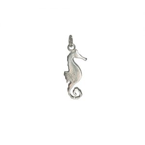 Tin & silver seahorse charm